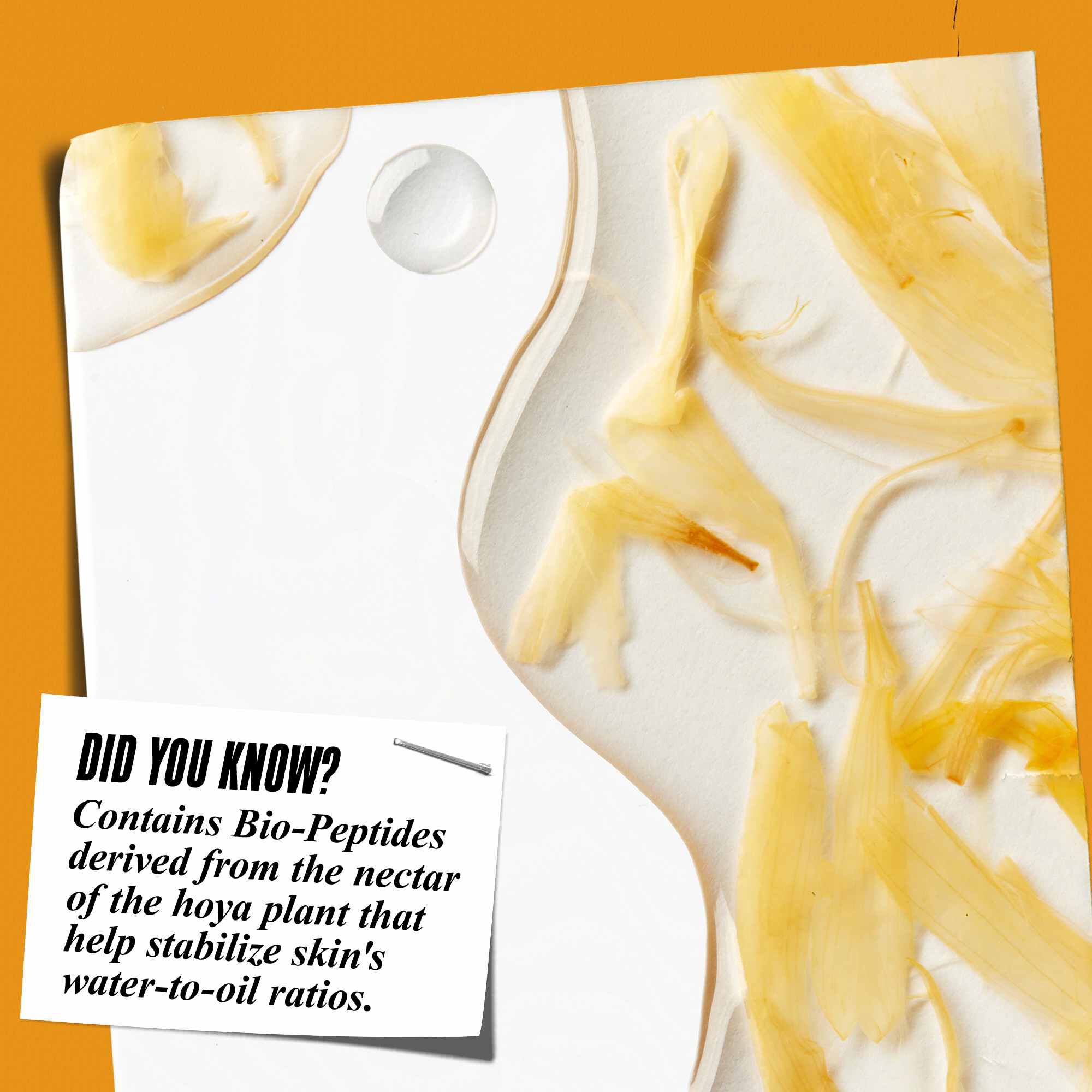 Detail textury Calendula Herbal-Extract Toner s lupeňmi nechtika a textom: „Vedeli ste? Obsahuje bio-peptidy ziskane z nektaru rastliny hoya, ktore pomahaju stabilizovať pomer vody a oleja v pleti.“