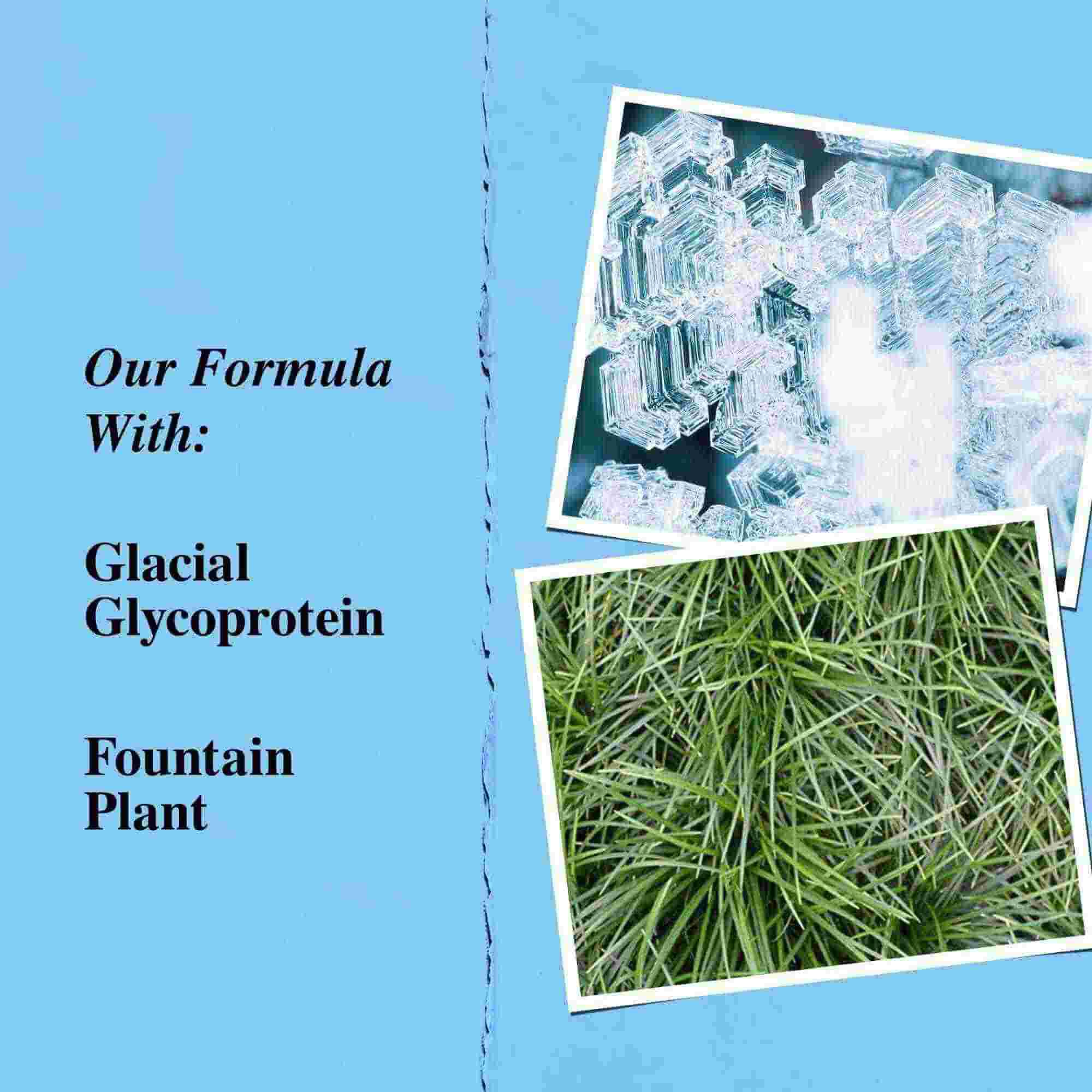 Grafika kľučovych zložiek: ľadovcovy glykoprotein a rastlina Ophiopogon japonicus (fountain plant).