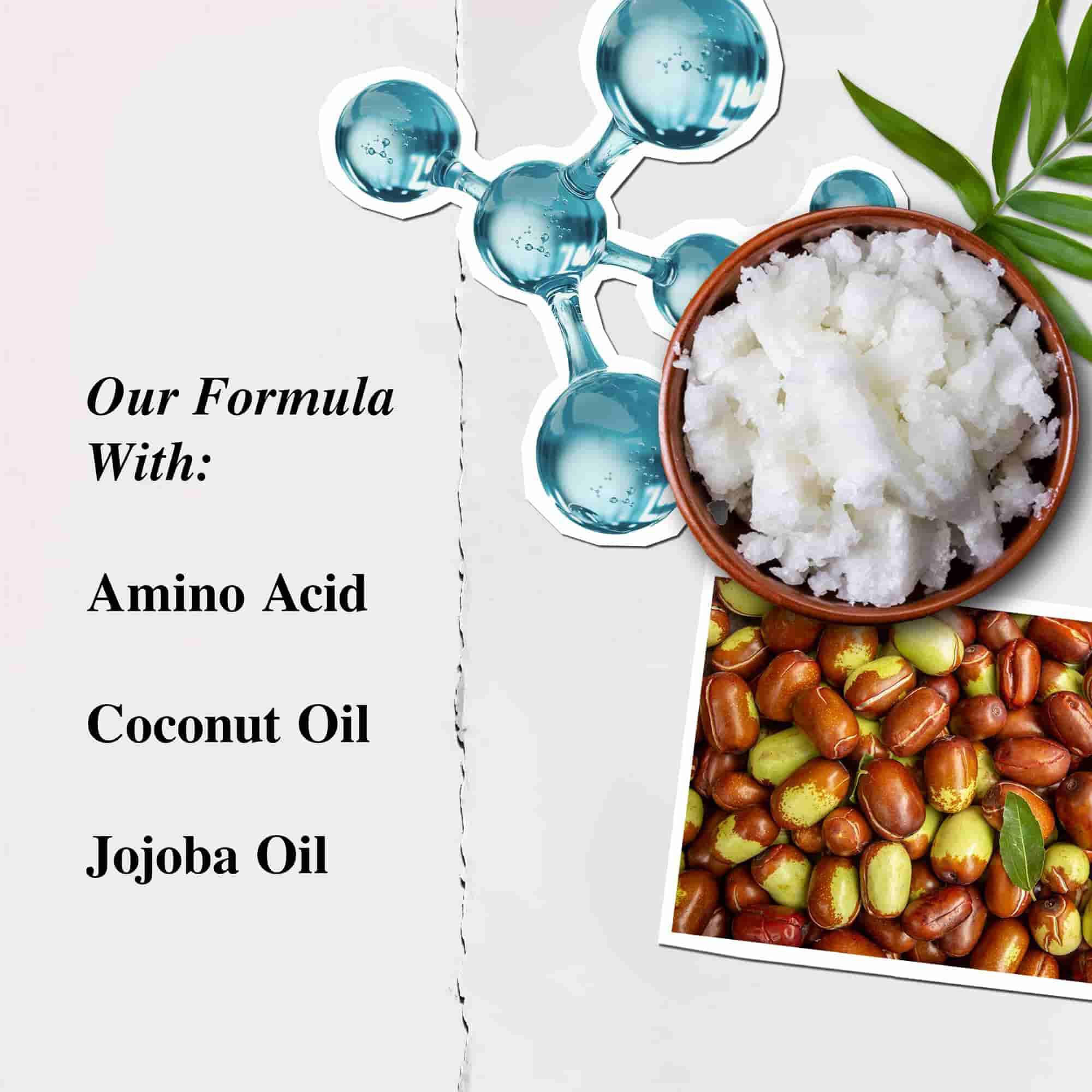 Ilustracia ingrediencii kondicionera aminokyselin Kiehl's - Aminokyseliny, kokosovy olej, jojobovy olej