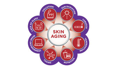 A circular diagram illustrating the factors contributing to skin aging, including pollution, sun radiation, tobacco, temperature change, toxins, nutrition, lack of sleep, and work environment, all surrounding a central label that reads "Skin Aging."