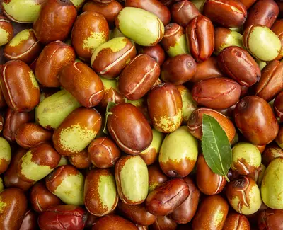 A close-up image of a variety of jujube fruits, featuring a mix of brown and green colors, with some fruits displaying a shiny appearance and a few leaves scattered among them.